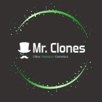 Mr. Clones