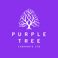 Purple Tree - Toronto Dispensary Purple Tree - Toronto Dispensary