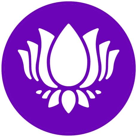 Purple Lotus Purple Lotus